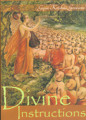 Divine Instructions — boekomslag