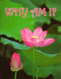 Why am I? — boekomslag