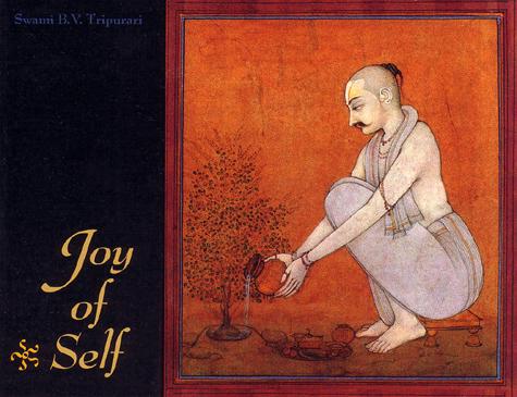 Joy of Self — boekomslag