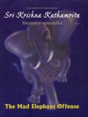 Sri Krishna Kathamrita — afbeelding 2